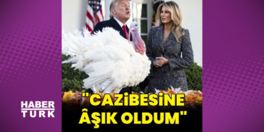 1728304514_1200x628.jpeg